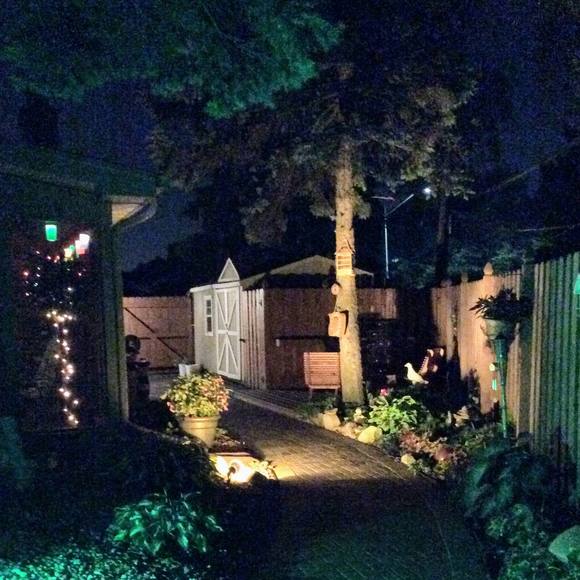 Meet your Posher, Lynne - Picture 1 of 1